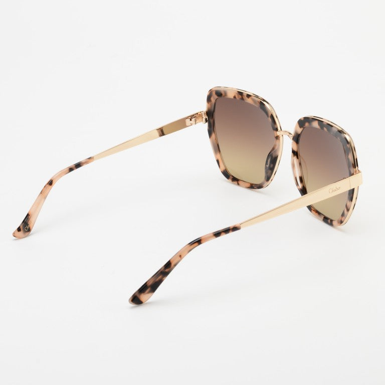 Bari Sunglasses